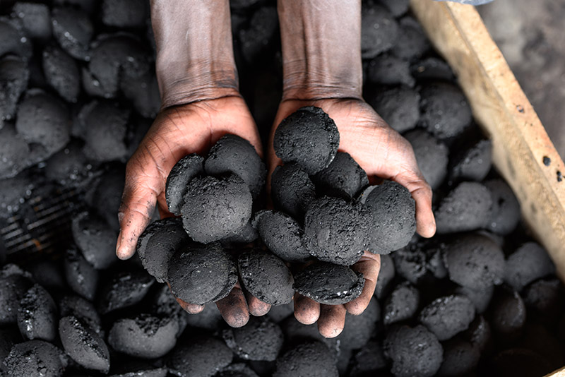 Eco Briquettes